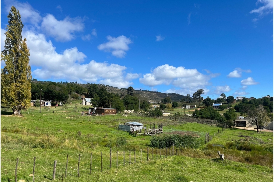 0 Bedroom Property for Sale in Haarlem Western Cape